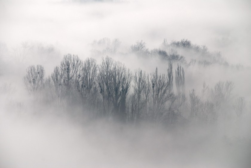 fog-06